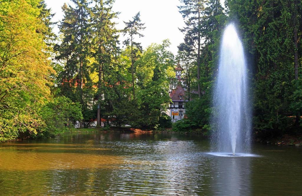 Bukowy Dworek Щавно-Здруй Экстерьер фото